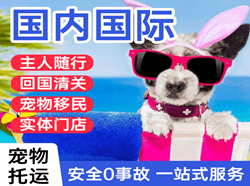 地窝堡航空快运国际宠物托运 【国